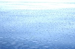 Pancake ice forming near Ilulissat