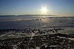 Looking down from the hills over Qaanaaq