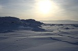 Coastal ice