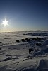 Dog rests at iceberg