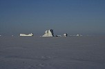 Iceberg in frozen sea