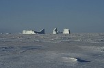 Iceberg in frozen sea