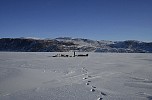 Dog sledge in Academy Bay