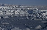 Broken ice field