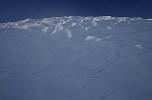 Iceberg