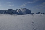 Steps in the snow