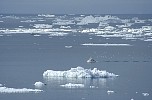 Icebergs and boat.