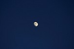 Moon over Ilulissat