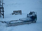 Dog sledge at Siorapaluk