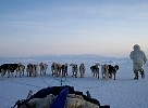 Inuit hunter and dogs