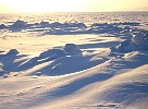 Snowfield in the morning