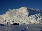 Dog rests at iceberg