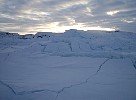 Ice near coast