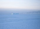 Iceberg