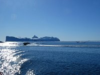 Ilulissat boat tour