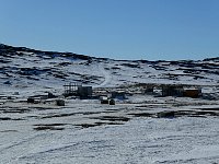 Sled dog field in Ilulissat