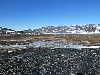 Semi-frozen marshland