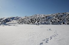 Footsteps in Sikuijuitsoq Fjord
