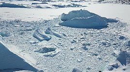 Icebergs in Sikuijuitsoq Fjord