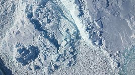 Icebergs in Sikuijuitsoq Fjord