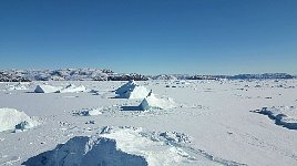 Icebergs in Sikuijuitsoq Fjord