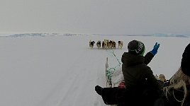 Pointing at icebergs