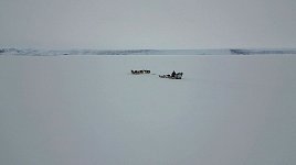 Dog sled heading back