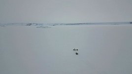 Dog sled heading back