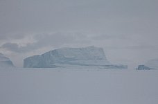 Icebergs on an overcast day