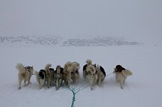 Heading towards Qaanaaq