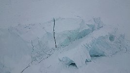 Fluffy dog and icebergs