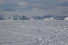 Dogsled racing track