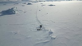 Drone shot of icebergs near Qaanaaq