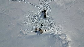 Drone shot of icebergs near Qaanaaq