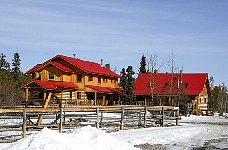 Homestead, near whitehorse