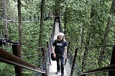 Treetop adventure