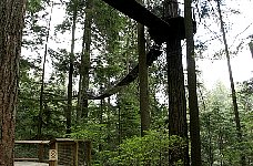 Treetop adventure