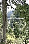 Capilano Suspension Bridge