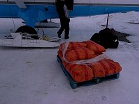 Dag food near Aklak Air Twin Otter in Inuvik