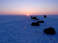 Sea ice camp sunset