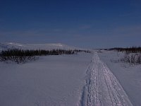 Dogsledding rear view