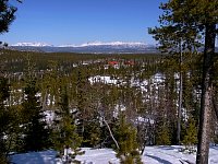 Homestead, near whitehorse