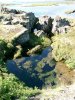 Clear waters of Þingvallavatn lake