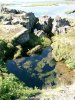 Clear waters of Þingvallavatn lake