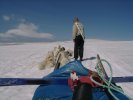 Dog sledge tour with danish tour guide - ready to go