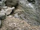 Pumice stones swimming in Drekagil gorge