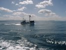 Whale watching near Husavik