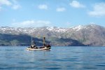 Whale watching near Husavik