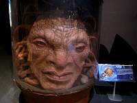 The Face of Boe