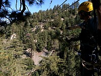 Ziplines and sky bridges